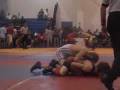seahorse wrestling 08