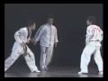 第一屆文化大學國術系畢業公演:跆拳