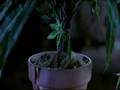 The Best Of: SCARY MOVIE 2