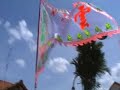 Chinese New Year 2008 Big Flag Celebration Part 2