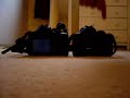 Canon 350d vs 400d - shutter speed