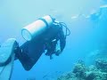 Biyadhoo diving Sep 07 - 2