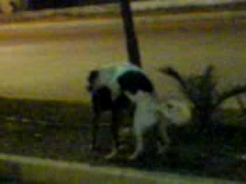 gamisia - deite ti travi3a stn touzla....t euxaristioude padws...exw k ala tetia ala parte mia geusi apo auto!!!SeRReS 4ever & Touzla 4 ever!!!!!!!!