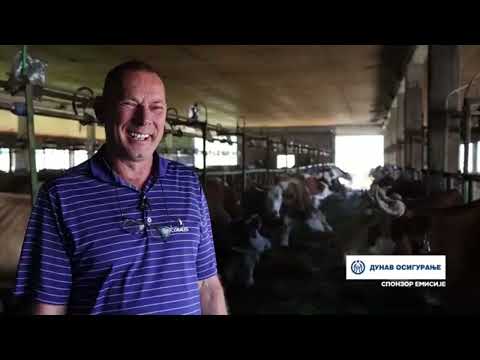 ФАРМА КРАВА У ГОРОБИЉУ