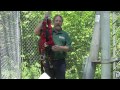 Cableway Pre-Use Inspection