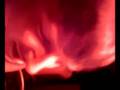 videos de cabin acid clip 1