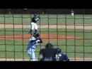 Baseball Bruiser Baseball Bruiser