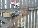 rodaj motor DL 100.mpg