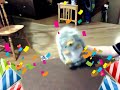 herbert sing along part 1 of 1