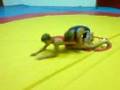 Wrestling Serbia