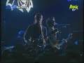 intepol stella was a diver and she always dawn  en vivo