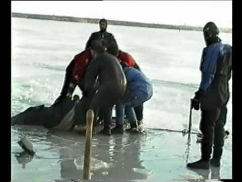 мп3 мужики рыбаки мп3 мужики рыбаки