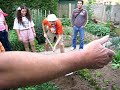 Enterrement Vie de jeunes gens