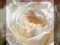 The Truth about Our Lady of Fatima