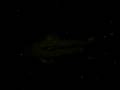 videos de Bichirs Closeup 3