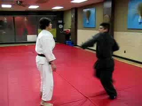 Goshin Jujitsu self-defense techniques