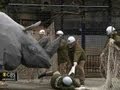 Rhino escape rehearsal for Japan zoo