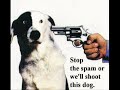 stop the spam stop the spam