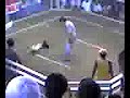 sabong sabong