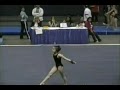 Chelsey Hoy 2008 Region 7 Level 8 Regionals Junior A Floor
