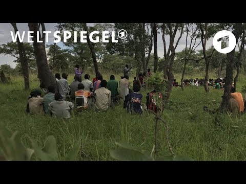 Sambia: Kleinbauern müssen Großfarmen weichen | Wel ...