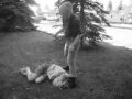 i-h8-hippies11.html
