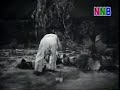 Pendekar Bujang Lapuk (How to catch a pendekar )