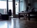 BoBo and Bugly home alone 1