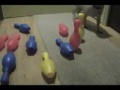 Pug Bowling Pug Bowling