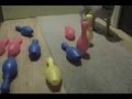 Pug video
