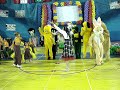 Deus Criou os Animais - &Cia