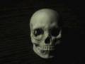 自作人形のコマ撮り Stopmotion animation of my claydoll