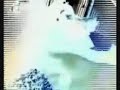 bigbrother9 opening bigbrother9 opening