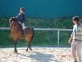 cours de dresssage au rampignon