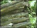 Myron Hodgson Logging Myron Hodgson Logging