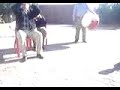 Antep Zurnalı fasıl Zurnacı Bayram ve Resit