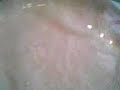 Magic Bubble! Magic Bubble!