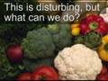Health Alert: Genetically Modified Organisms (GMOs)