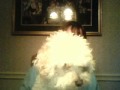 Louie's intro!!!!! LOL!!!!!!!!!!!!!!!!!!!!!!!!!!!!!!!!!!!!!!!!!