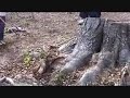 Radne akcije na sljemenu