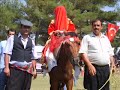 TAPAN 5. K�lt�r ?enli?i - Resimler