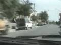 in macchina da reggio a casignana 4