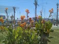 Olor a mar sabor a sal
