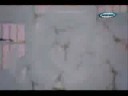 Jigoku Shoujo Randomness-Sakasama no Chou