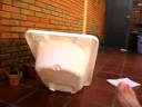 Alice Cacetadas.....