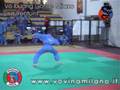 videos de Thập Tự Quyền, Vovinam Việt Võ Đạo Italia, LISA VENTURA