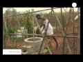 Euronews Terra Viva - L émergence Du Coton Bio En Inde