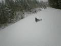 videos de face plant