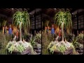 To view properly in 3D, hover over the 3D button in the bottom right corner of the video and select 