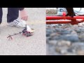 Dynam E-Razor Middle Sized 3D heli review. Onboard VidCam.